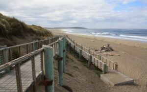 Bodega Dunes Beach