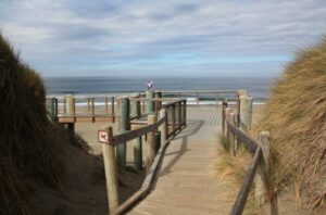 Bodega Dunes