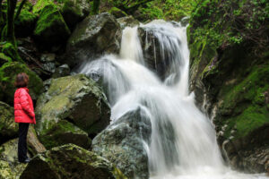 Waterfall in Sonoma County