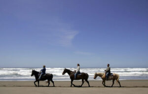 Bodega Dunes Campground, Bodega Bay Horse riding on beach