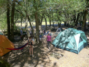 Camping at Sugarloaf Ridge State Park